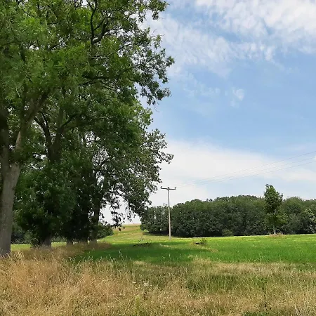 דירה Im Gruenen Muldental *