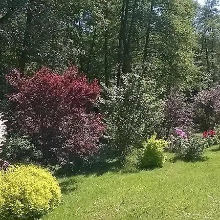 Im Gruenen Muldental * Langenbach (Saxony)