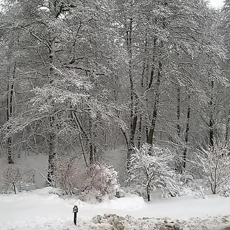 Im Gruenen Muldental Langenbach (Saxony)
