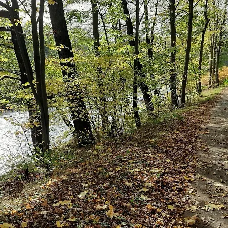 Im Gruenen Muldental Langenbach (Saxony)