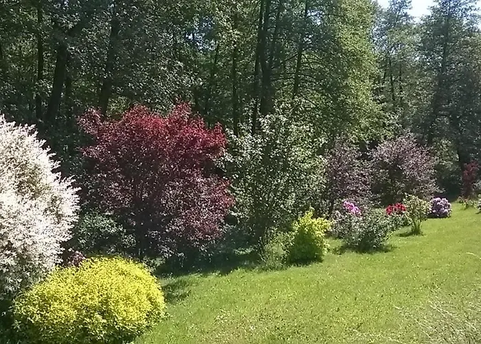 Im Gruenen Muldental * Langenbach (Saxony)
