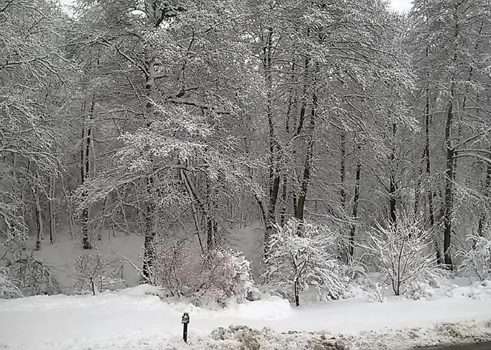 Im Gruenen Muldental Langenbach (Saxony)
