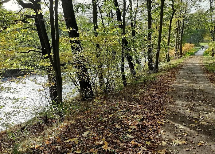 Im Gruenen Muldental Langenbach (Saxony)