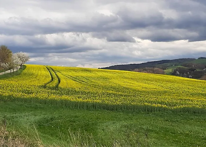 Im Gruenen Muldental *